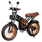 اسکوتر کوگو v5